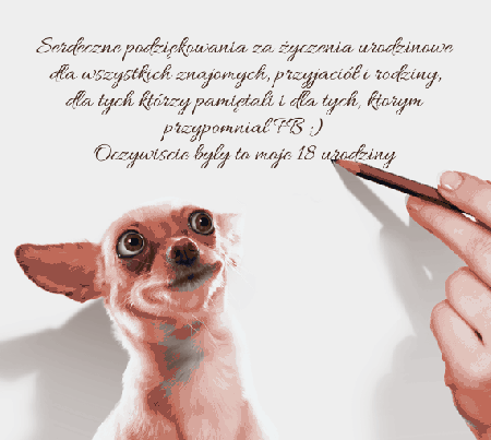 Piesek dziękuję za życzenia